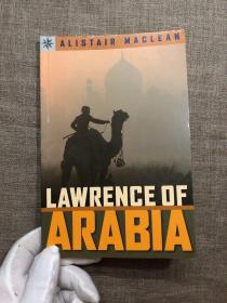 Lawrence of Arabia (Sterling Point Books) 《智慧七柱》作者T. E. 劳伦斯小传【英文版，纸张厚实】