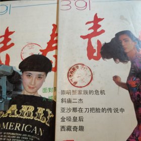 青年文学月刊 青春1991.3.4