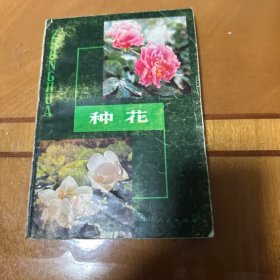 种花