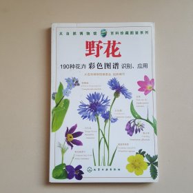 百科珍藏图鉴系列：野花