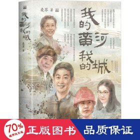 我的黄河我的城 官场、职场小说 麦苏