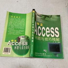 中文Access问题与技巧精解