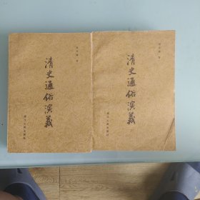 清史通俗演义上，下
