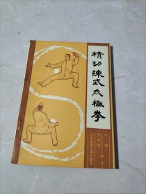 精功陈式太极拳