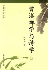 正版包邮 曹溪禅学与诗学 张海沙 中国社会科学出版社