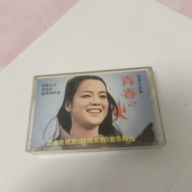 磁带:青春之火 轻音乐曲集