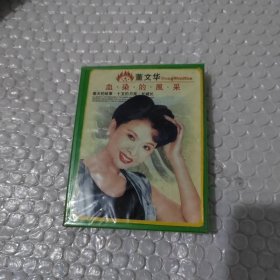 磁带 董文华 血染的风采（未开封）