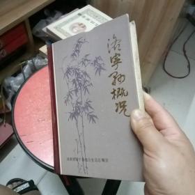 洛宁县概况