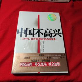 中国不高兴：大时代大目标及我们的内忧外患