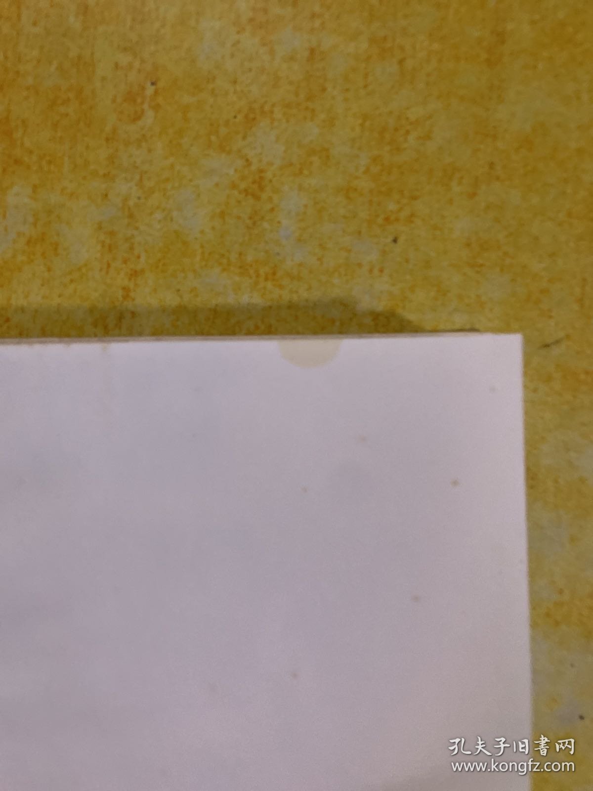 《匠人匠心：用一生，做好一件事》