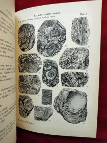 民国21年国立北平研究院<中国南部二叠纪珊瑚化石>道林纸印、中文简介、英文,有柯罗版大图16张,净重1公斤,稀见黄汲清院士著作
