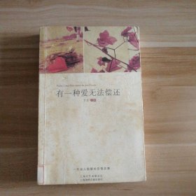 有一种爱无法偿还