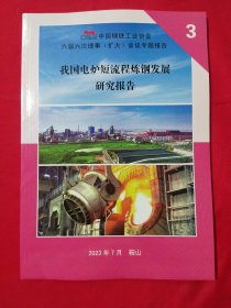 中国钢铁工业协会六届六次理事 （扩大）会议专题报告3我国电炉短流程炼钢发展研究报告