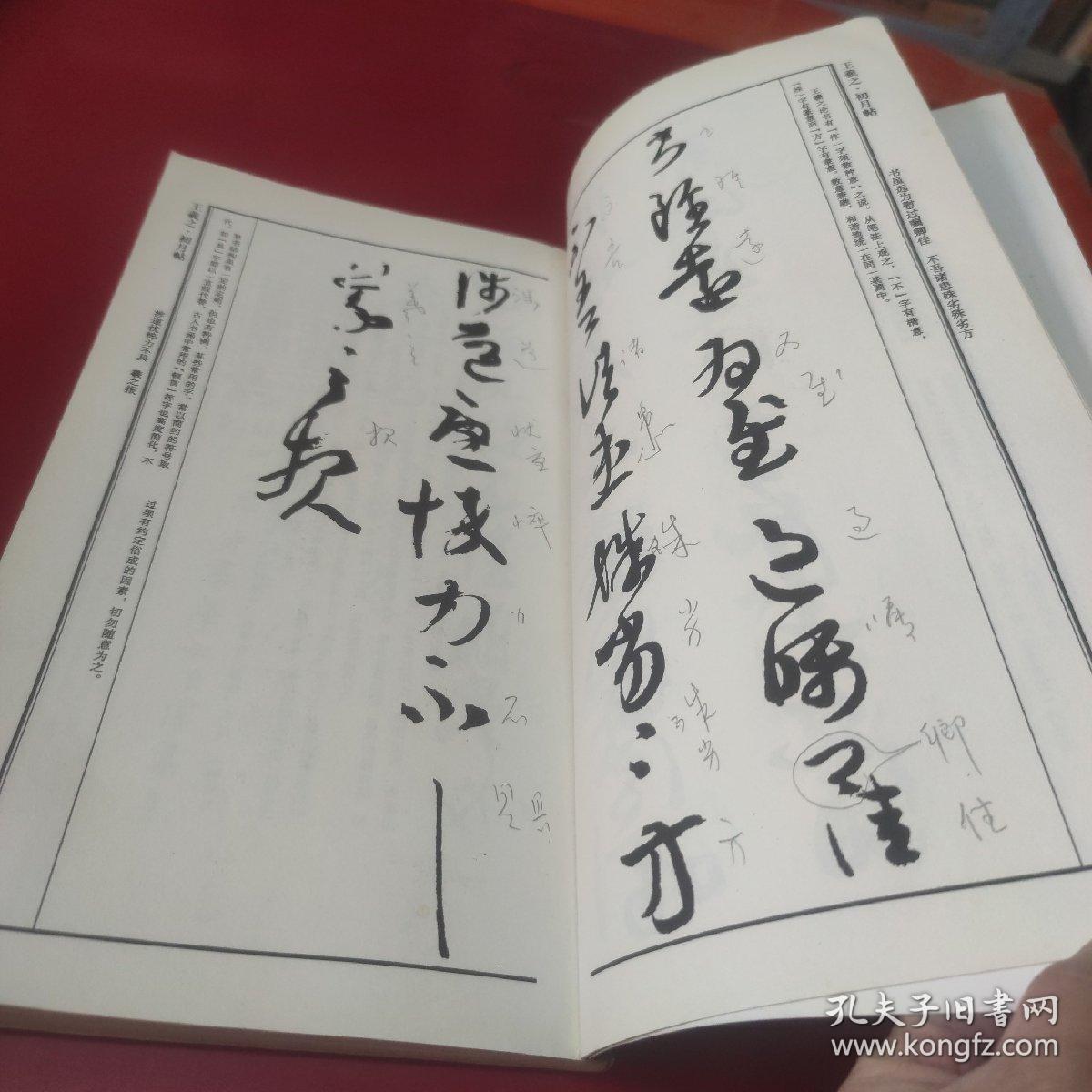 花开的季节:青春期困惑的辅导案例精选