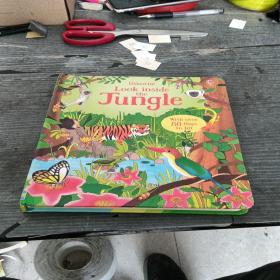 Look inside the Jungle