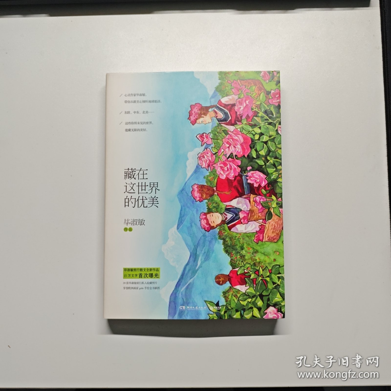 藏在这世界的优美