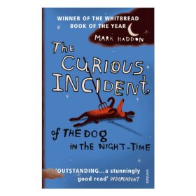 The Curious Incident of the Dog in the Night-time