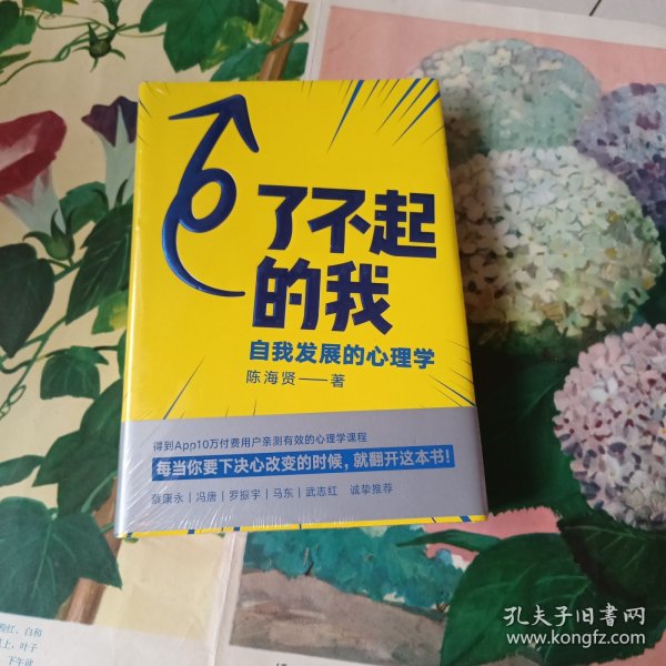 了不起的我：自我发展的心理学