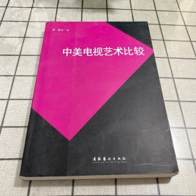 中美电视艺术比较