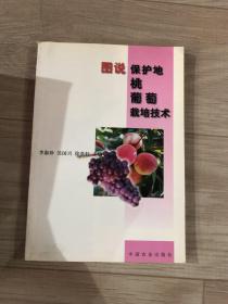 圖說保護地桃葡萄栽培技術(shù)