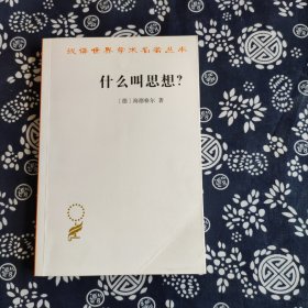汉译世界学术名著丛书：什么叫思想？