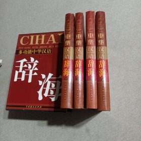 多功能中华汉语辞海（全四册）