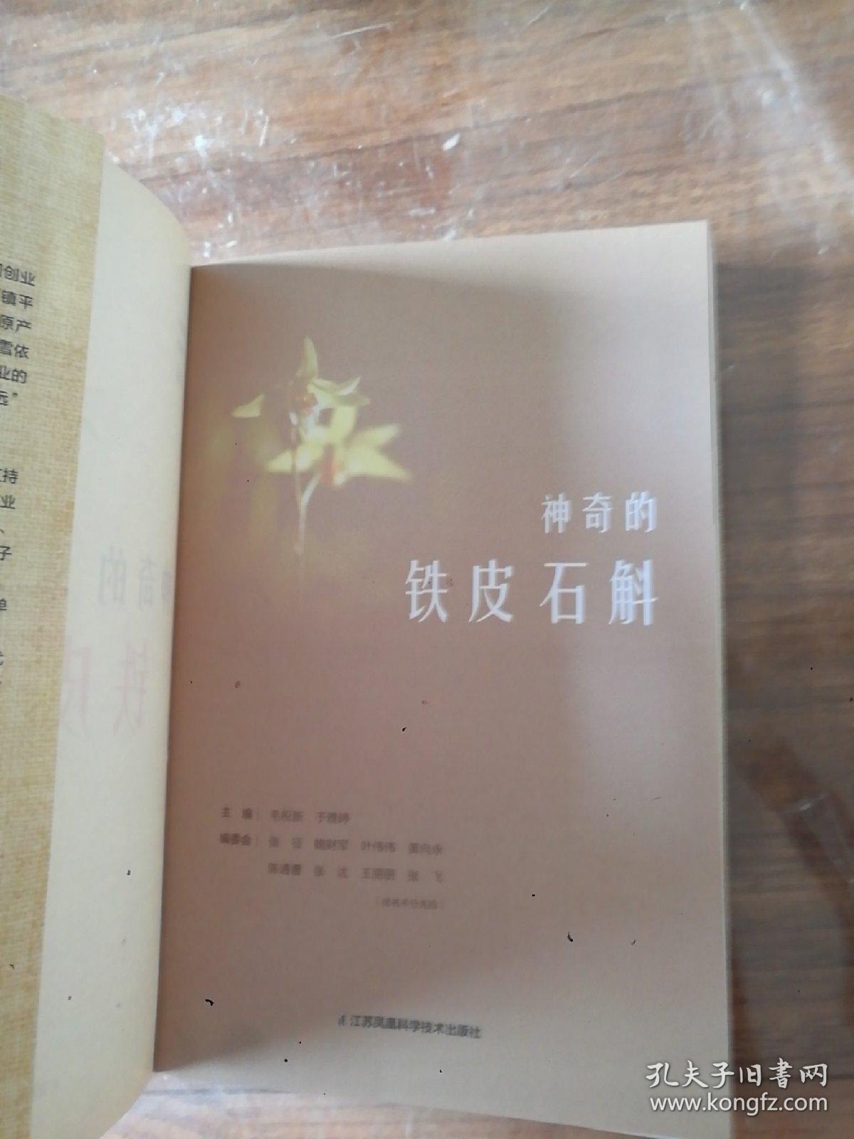 神奇的铁皮石斛