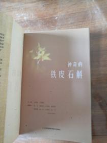 神奇的铁皮石斛