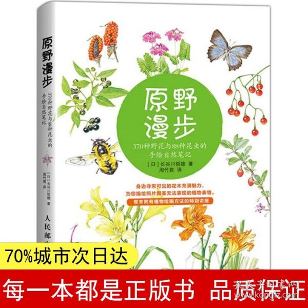 原野漫步：370种野花与88种昆虫的手绘自然笔记