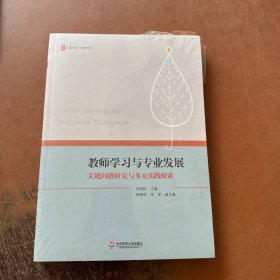教师学习与专业发展：关键问题研究与多元实践探索 大夏书系