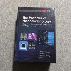 The Wonder of Nanotechnology