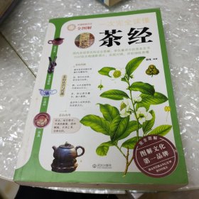 一次完全读懂茶经