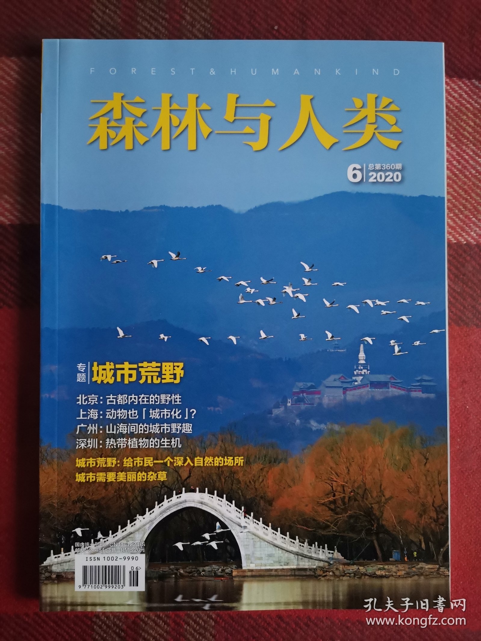 森林与人类 2020年6月 城市荒野