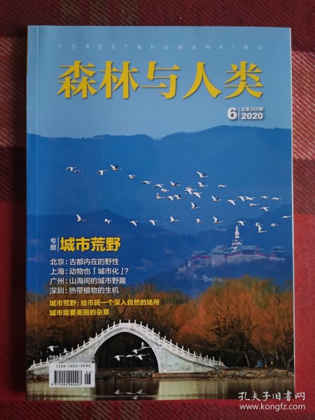 森林与人类 2020年6月 城市荒野