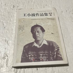 王小波作品集.杂文卷