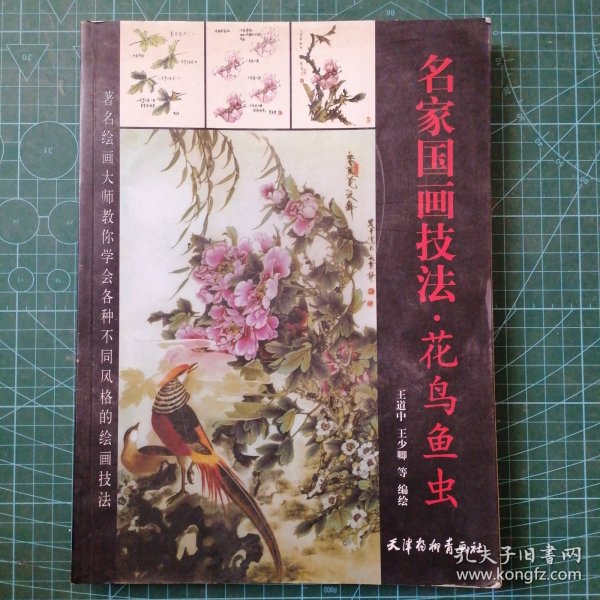 美术教学示范作品：写意草虫画法