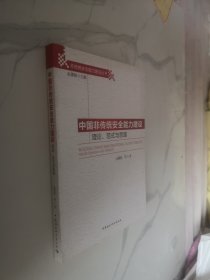 非传统安全能力建设丛书：中国非传统安全能力建设理论、范式与思路