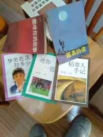 三毛作品5本(温柔的夜、撒哈拉的故事、稻草人手记、送你一匹马、梦里花落知多少5册合售)