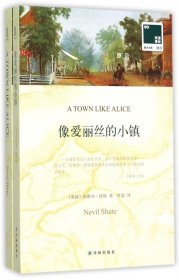 双语译林 壹力文库：像爱丽丝的小镇