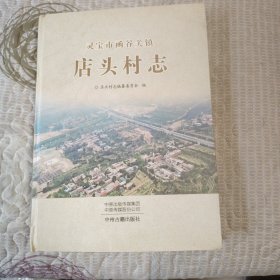 （灵宝市函谷关镇）《店头村志》