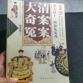 大清奇案冤案：悲大清十二朝怨魄哀魂（修订版）