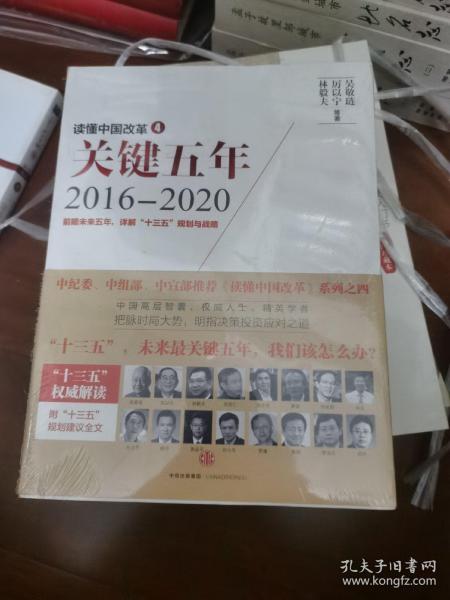 读懂中国改革4：关键五年2016--2020