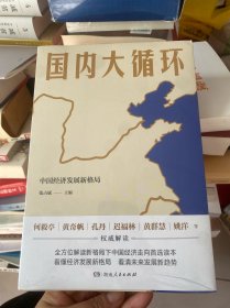 国内大循环(何毅亭、黄奇帆、孔丹、迟福林、姚洋、黄群慧等撰文)