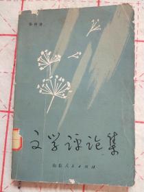 文学评论集