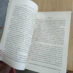 硅海武士:日本信息技术产业称雄世界的故事