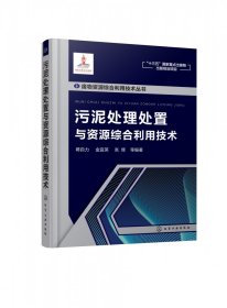 废物资源综合利用技术丛书—污泥处理处置与资源综合利用技术