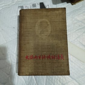 大脑两半球机能讲义