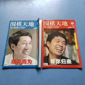 围棋天地（2003年全12期13期合拍） 品看图自定