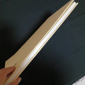 齐子如画集（签名本）（见图）