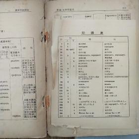 俄文文法读本（第一册、第二册）1951年版（外封颜色略有不同）